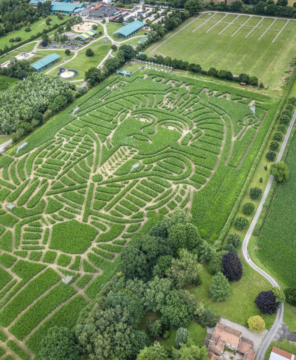 York Maze