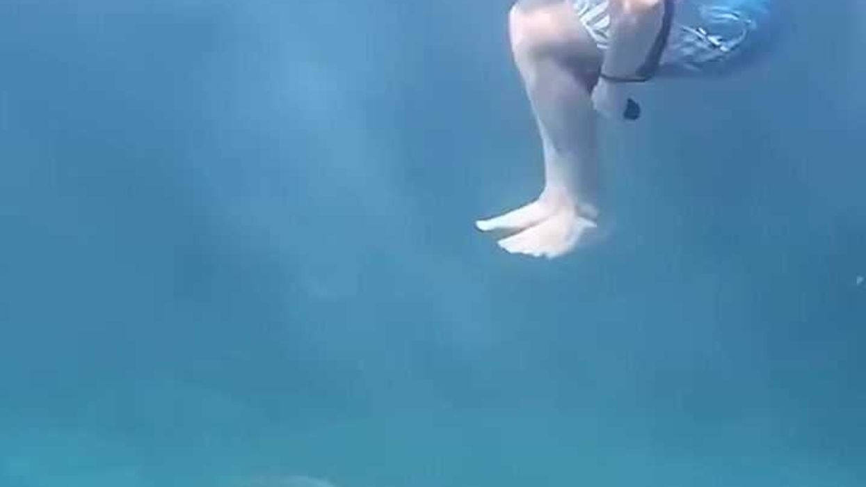 Ancient underwater world could be key to finding evidence of past civilisations