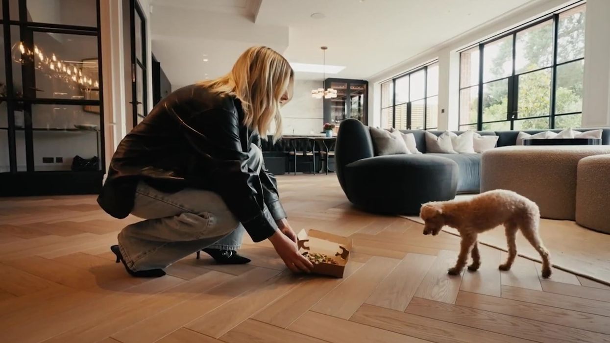 Ring launches free dog takeaways including pizza, sushi and 'wine'