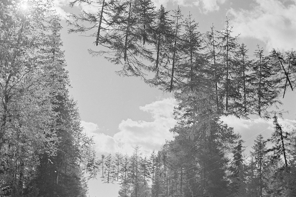 The truth behind mysterious World War II photos of Finland's 'floating ...