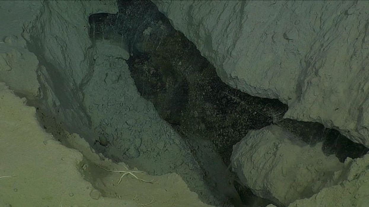 Strange 'modern' structures discovered on the Arctic seafloor