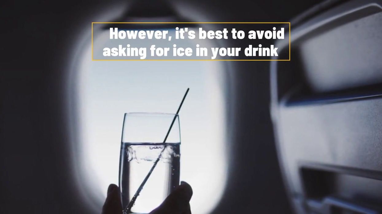 Flight attendants reveal the meals you should always pick on planes