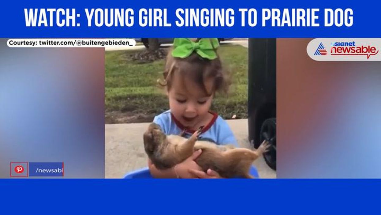 Prairie dogs invaded a baseball field delaying game and it was adorable