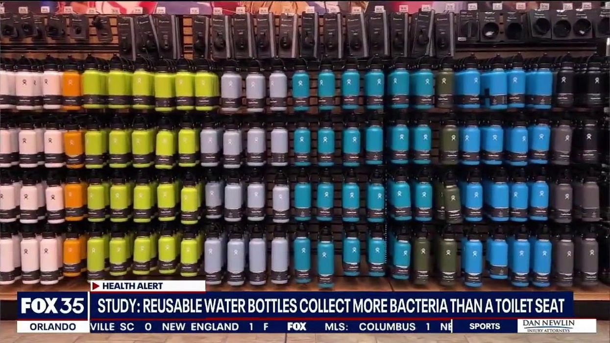 Reusable bottles contain 'more bacteria than toilet seats'
