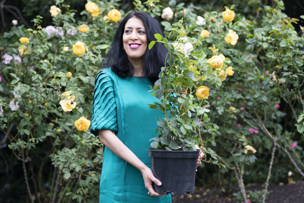 Queen hails rose named for 18th-century black gardener as symbol of community