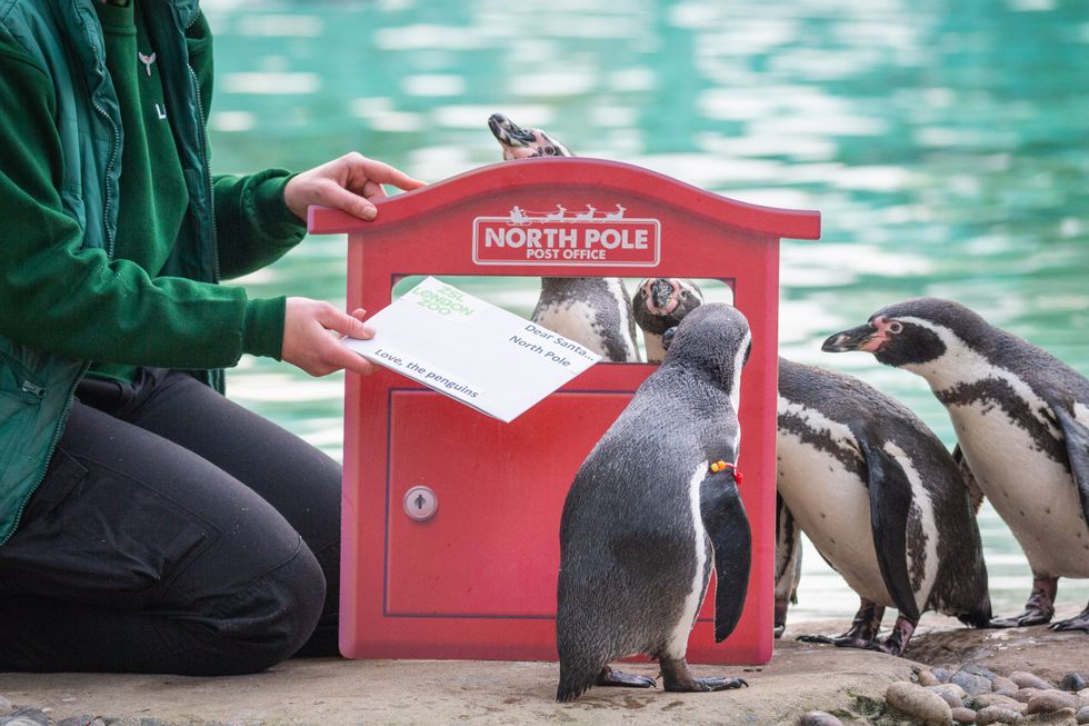(Zoological Society of London)