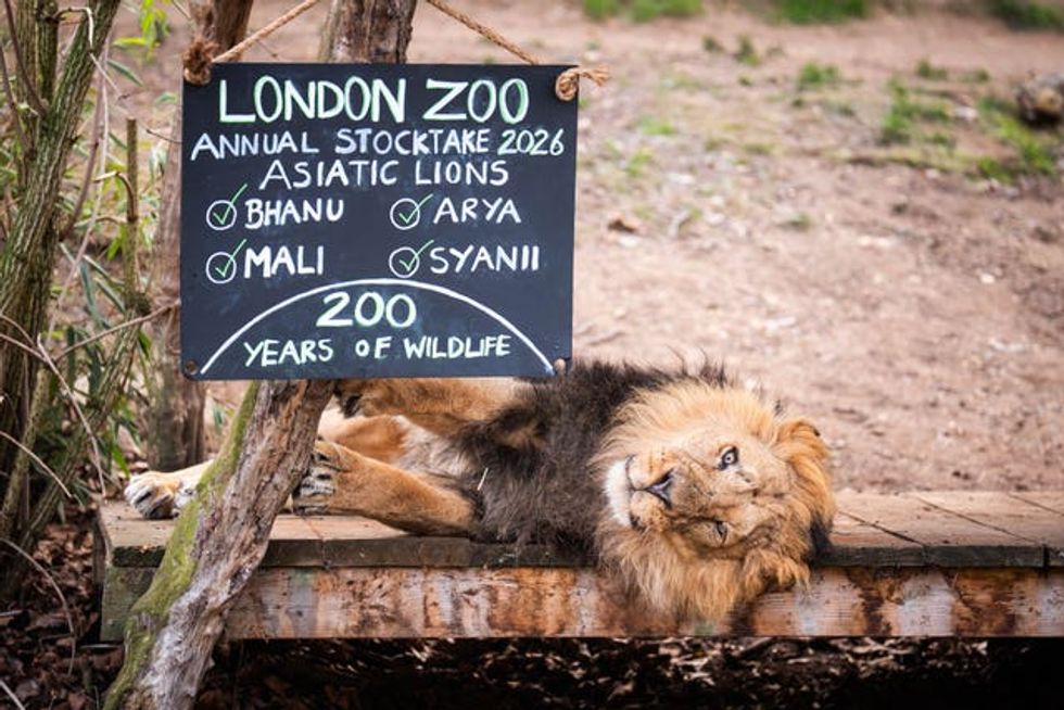 ZSL London Zoo annual stocktake