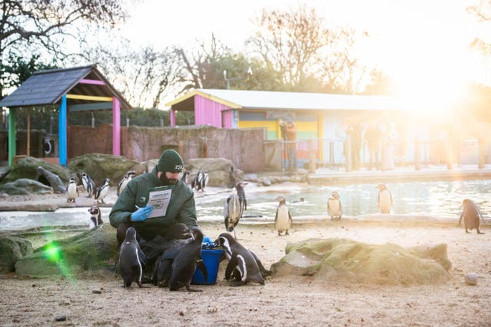 ZSL London Zoo annual stocktake