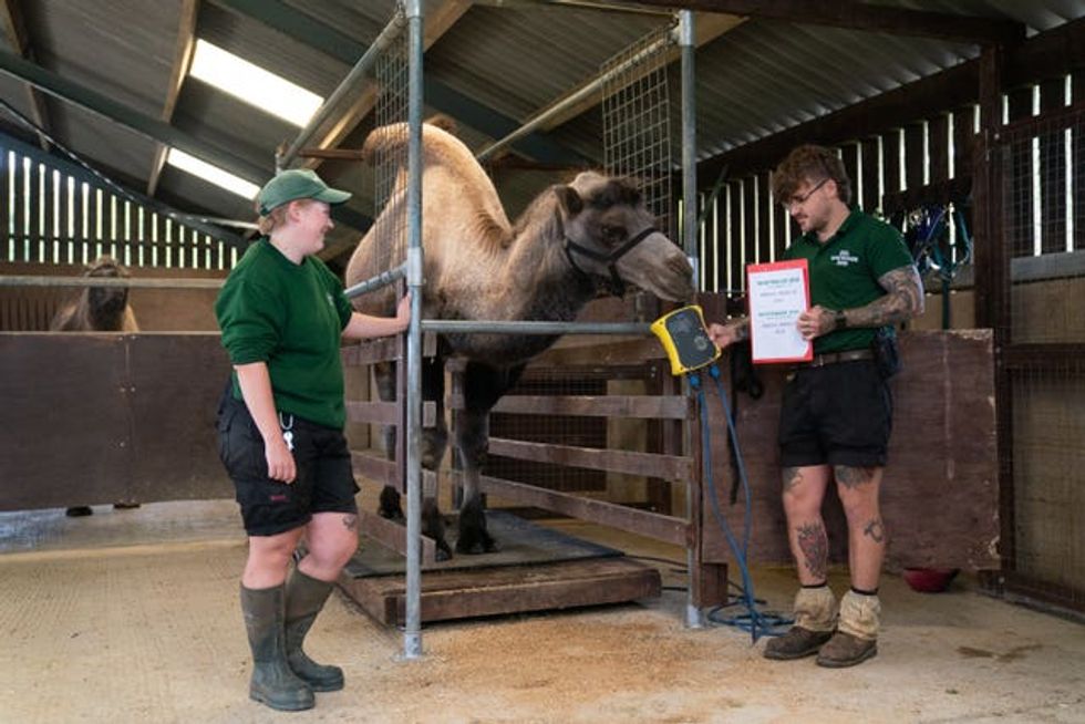ZSL Whipsnade Zoo annual stocktake